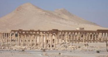Palmyra4