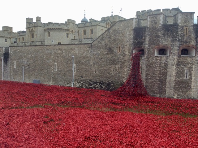 The Poppy Display, Tower of London