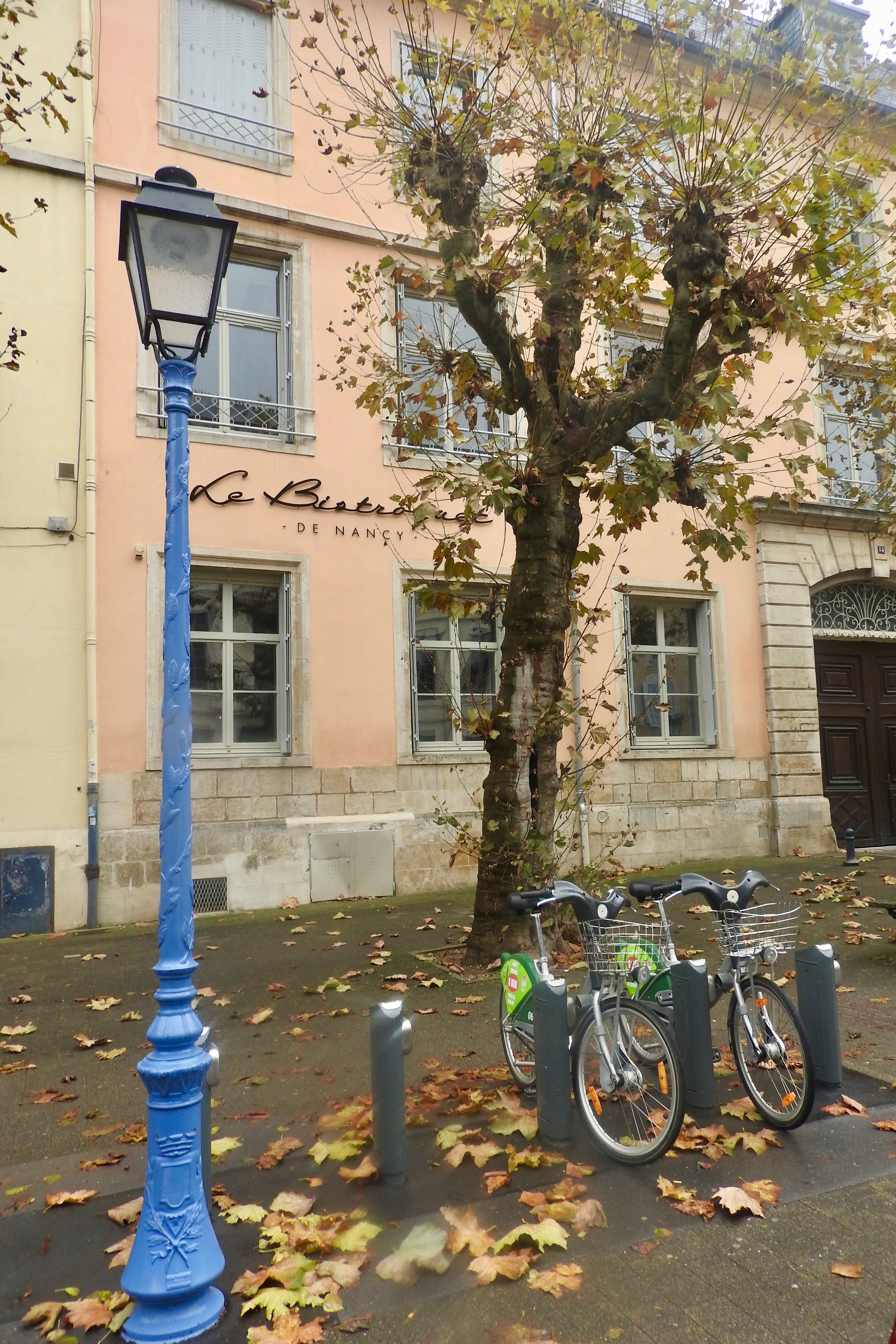 Monday Morning Blues – Lamp Post and Leaves in Nancy, France