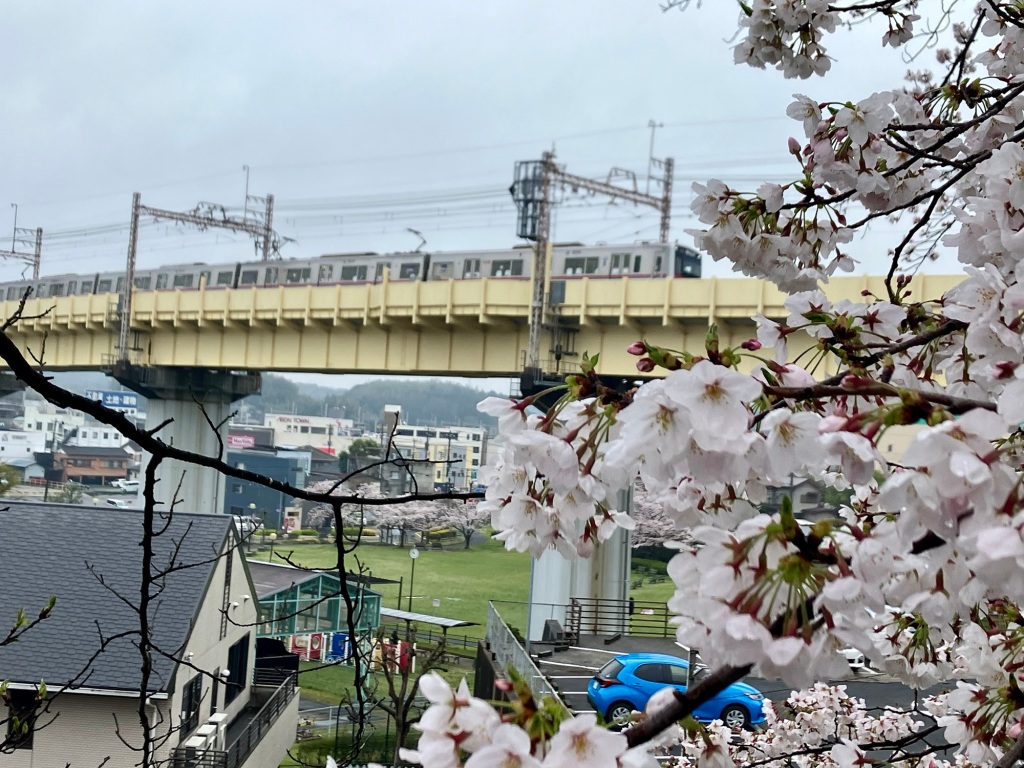 The Airport Train Pictured From Narita Town, Japan